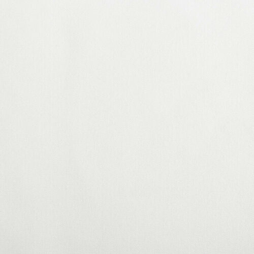 Arctic White