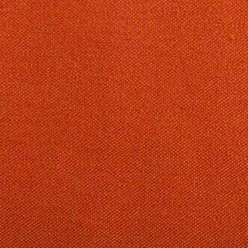 Autumn Orange