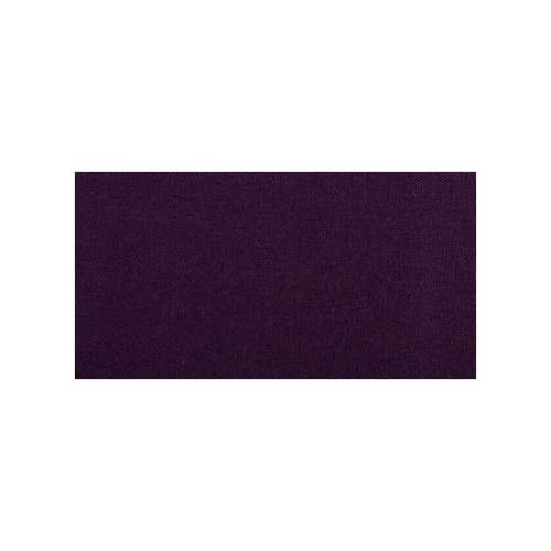 Purple Iris
